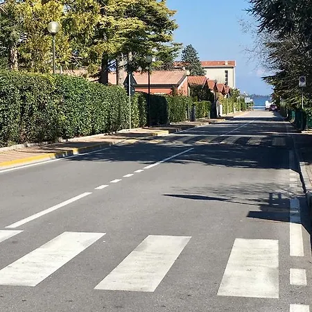 Ibisco